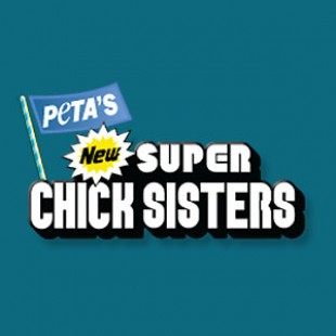 Super Chick Sisters