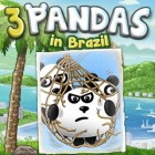 3 Pandas in Brazil