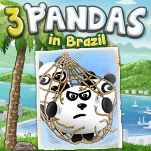 3 Pandas in Brazil